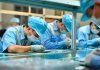 Vietnam launches digital transformation plan for small and medium-sized enterprises