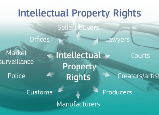 INTELLECTUAL PROPERTY RIGHTS