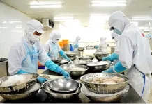 Early 2026 export orders signal strong global demand recovery for Vietnam