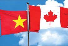 Việt Nam xuất khẩu sang Canada: Ưu đãi CPTPP bị “bỏ quên”, 81% vẫn dùng MFN