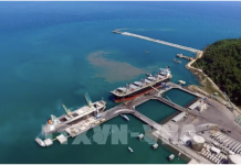 Resolution 79: Encouraging State-owned enterprises to link with FDI sector