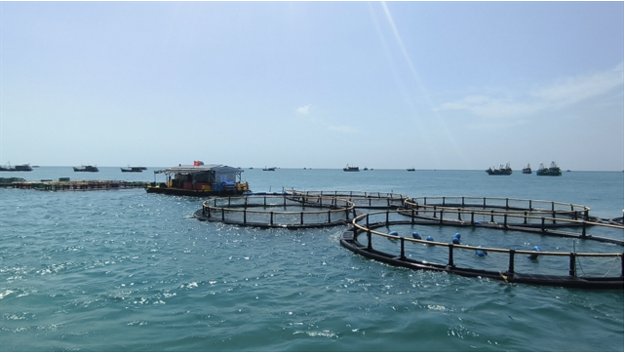 A fish cage farming model at Hòn Chuối Island in Cà Mau Province. — VNA/VNS Photo Chanh Đa