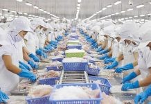 Doanh nghiệp xuất khẩu cần thực thi 4 quy định mới của EU trong năm 2026