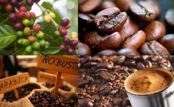 ONLINE B2B WITH VIETNAM COFFEE AND PEPPER EXPORTERS 2021