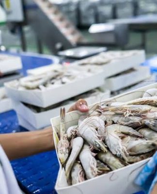 Xuất khẩu ngành hàng chủ lực trước ngã rẽ: Đến lúc dựng ‘kiến trúc cạnh tranh’ mới