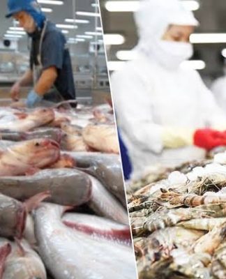 Xuất khẩu thủy sản vào Top 3 thế giới nhưng vẫn ‘mắc cạn’ vì 4 điểm nghẽn, VASEP kiến nghị khẩn