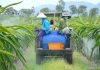 EU siết dư lượng thuốc bảo vệ thực vật, doanh nghiệp xuất khẩu đối mặt thêm rào cản