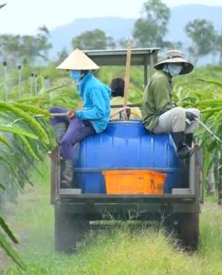 EU siết dư lượng thuốc bảo vệ thực vật, doanh nghiệp xuất khẩu đối mặt thêm rào cản