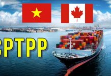 Thương mại Việt Nam – Canada có xu hướng tăng trưởng tốt nhờ lực đẩy của CPTPP