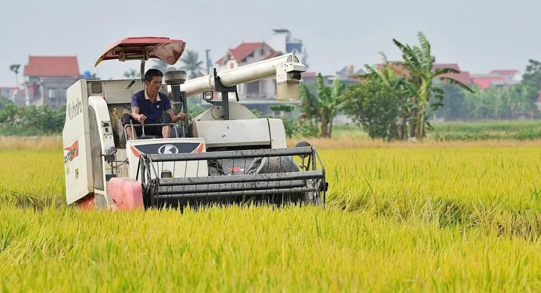 Đề xuất minh bạch cơ chế chỉ định thương nhân xuất khẩu gạo
