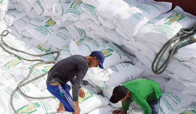 Quy trình phân bổ 80.000 tấn gạo trong EVFTA