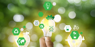 Establishing a comprehensive framework for green transition.